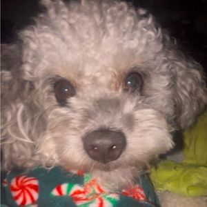 Meet your Posher, Logan